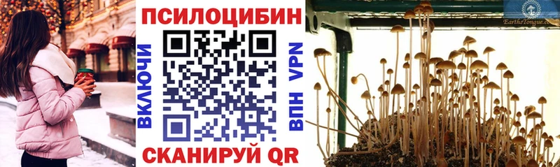 мориарти телеграм  Иркутск  Галлюциногенные грибы мухоморы 